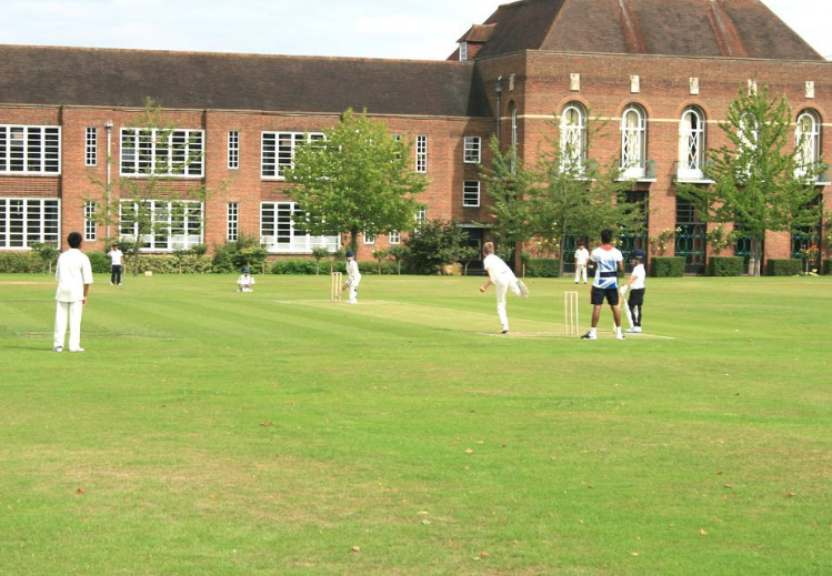 Young Cricket Player